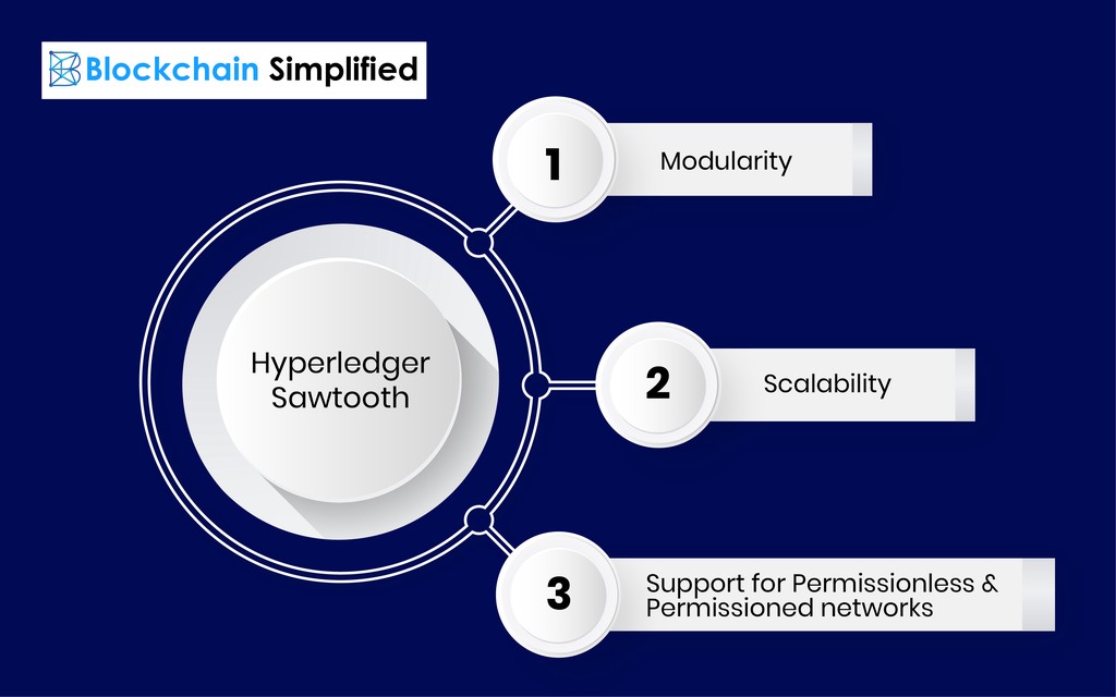 Hyperledger Sawtooth characteristics