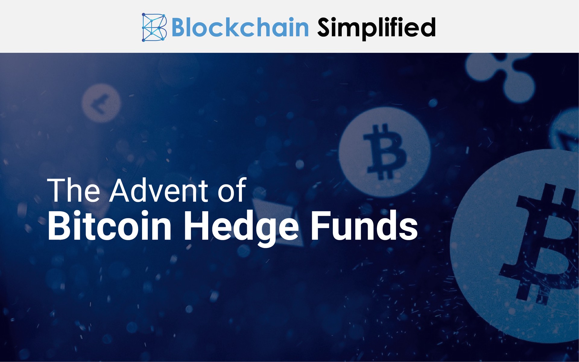 Crypto Bitcoin Hedge Funds main