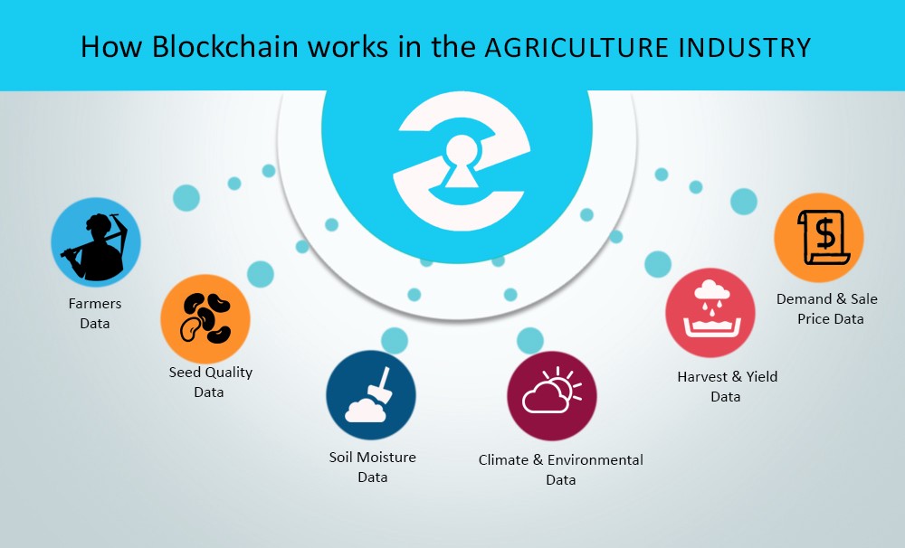 agriculture supply chain blockchain