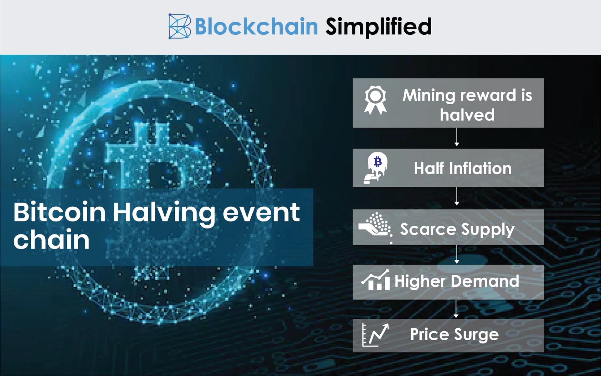 Bitcoin Halving chain