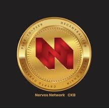 Top Blockchain development company in Pune India nervos3